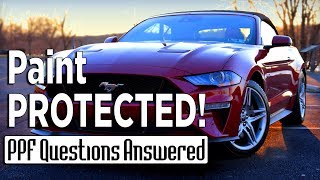 Paint Protection Film  PPF Installation Tips  XPEL [upl. by Yzdnil]