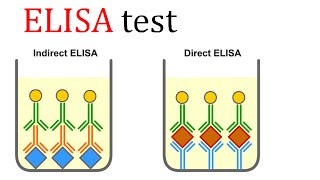 ELISA test [upl. by Hertz]