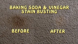 Baking Soda amp Vinegar Carpet Stain Busting [upl. by Agnew]