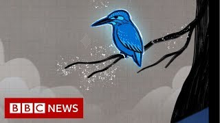 How a kingfisher helped reshape Japans bullet train  BBC News [upl. by Renwick705]