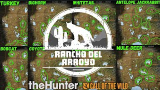 Rancho Del Arroyo Diamond Hotspot Maps Every Species  Best Loadout  theHunter Call of the Wild [upl. by Ahsika]