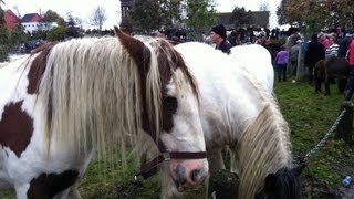 Ballinasloe Horse Fair 2012 [upl. by Yttocs]