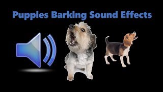 100 GUARANTEED TO MAKE YOUR Puppy HOWL Barking Sound Effect [upl. by Idmann218]