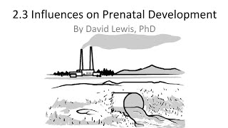 23 Influences on Prenatal Development [upl. by Stelmach859]