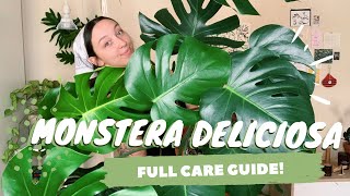 MONSTERA DELICIOSA CARE  PROPAGATION  indoor swiss cheese plant care [upl. by Hylan]