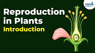 Introduction to Reproduction in Plants  Dont Memorise [upl. by Arihs391]