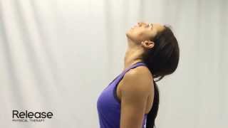 Cervical Spine Retraction amp Extension  McKenzie Exercise for Neck [upl. by Jezebel480]