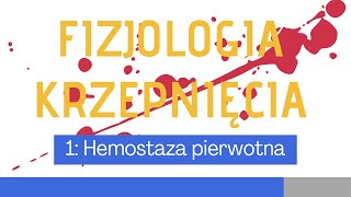 Fizjologia układu krzepnięcia 1 Hemostaza pierwotna [upl. by Johathan551]