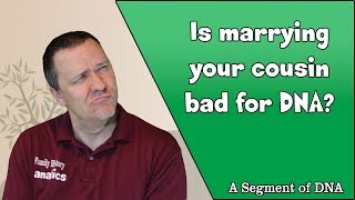 Is Marrying Your Cousin Bad  Genetic Genealogy Explained [upl. by Hayyikaz]