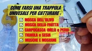 TRAPPOLA UNIVERSALE PER INSETTI DELLA FRUTTA [upl. by Mitran]