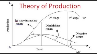 Managerial Economics Chapter3 Theory Of Production [upl. by Dnumyar]