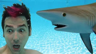 Shark In Swimming Pool Surprise [upl. by Glennis]