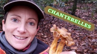 COMMENT PRÉPARER LES CHANTERELLES  🍄🍂 [upl. by Syl]