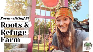 Farmsitting at ROOTS amp REFUGE VLOG [upl. by Anier]