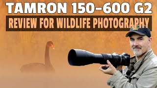 Tamron 150600mm G2 Review  The AFFORDABLE Wildlife Lens  Can You Take Nice Shots [upl. by Scrope342]