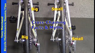 Bicycle Cross Chaining Facts and Myths [upl. by Giulia]