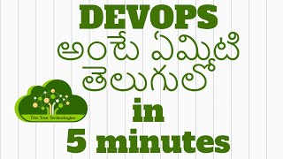 What is DevOps in 5 Minutes  Telugu [upl. by Ahsekel]