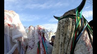 IL CARNEVALE DI BASILICATA [upl. by Narcissus]