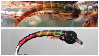 TSP  Tony Stark Pupa Chironomid Fly [upl. by Crandall83]