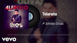 Alfredo Olivas  Telaraña Audio [upl. by Monarski717]