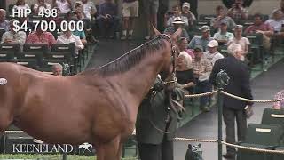 Hip 498 sells for 82 million at 2019 Keeneland September [upl. by Ettinger]