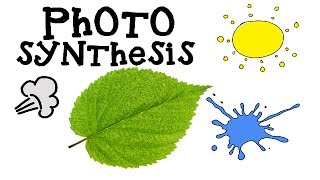 Photosynthesis for Kids  How plants make food  Animation Science [upl. by Gualterio]