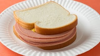 The Truth About Bologna Meat Finally Revealed [upl. by Ecinaej]