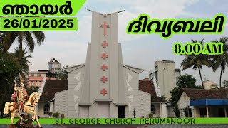 26012025  HOLYMASS  St George Church Perumanoor [upl. by Bull155]