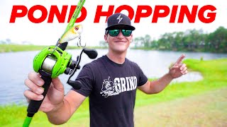 Pond Hopping for GIANT Bass Bank Fishing [upl. by Jose]