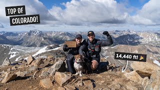 Hiking our FIRST 14er and the HIGHEST point in Colorado Mount Elbert at 14440 ft North Trail [upl. by Einnij]