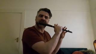 Irish Traditional Flute Music [upl. by Nevar]