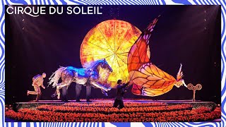 Experience an Aquatic Masterpiece quotOquot  OFFICIAL 2018 TRAILER  Cirque du Soleil [upl. by Aizitel425]