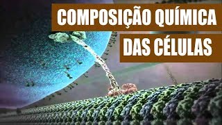 Composição química das células [upl. by Ahsiemac]