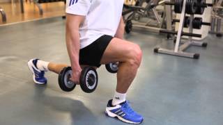 Dumbbell Lunges  Thighs Exercise [upl. by Leinahtam]