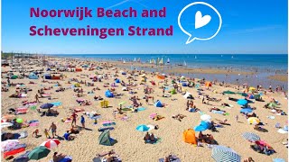 Noordwijk and Scheveningen beach summer of 2020  Netherlands [upl. by Kleinstein13]