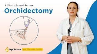 Orchidectomy  Surgery Video Lectures  Medical Student Education  VLearning [upl. by Aikym]