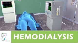 Hemodialysis [upl. by Seymour]