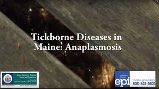 Tickborne Diseases in Maine Anaplasmosis [upl. by Einaj]