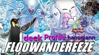 Floowandereeze Deck Profile profile [upl. by Schramke97]