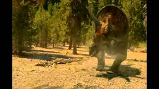 T rex vs Triceratops [upl. by Airlie]