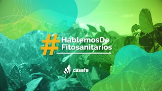 ¿Qué son los productos fitosanitarios [upl. by Hayarahs451]