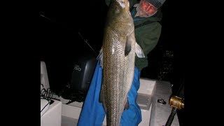 Striped Bass Fishing with Bucktails  3Way Rigs [upl. by Catherina394]