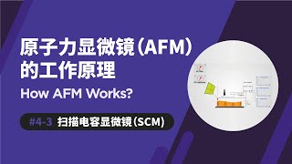 扫描电容显微镜  原子力显微镜如何运作  SCM  How AFM Works [upl. by Daryle]