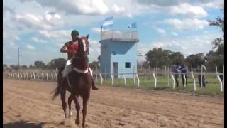 Hipódromo Camarero EN VIVO [upl. by Moya722]