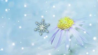 A Snowflake A Winter Story [upl. by Ceil303]