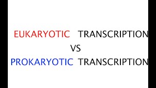 Eukaryotic transcription vs Prokaryotic transcription 41 [upl. by Rutra]