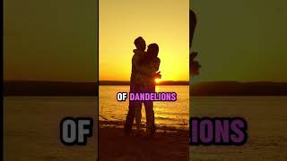 ￼ Dandelions lyrics [upl. by Dnomal]