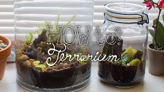 Make a Closed Tropical Terrarium  How To Terrarium ep2 [upl. by Showker247]