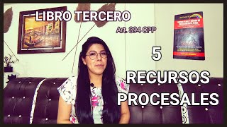 RECURSOS EN EL PROCEDIMIENTO PENAL  BOLIVIA [upl. by Acinomaj953]