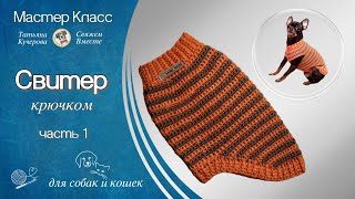 Свитер крючком для собак и кошек часть 1 [upl. by Yrogiarc]